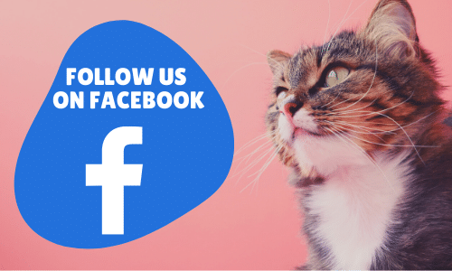 Follow us on facebook