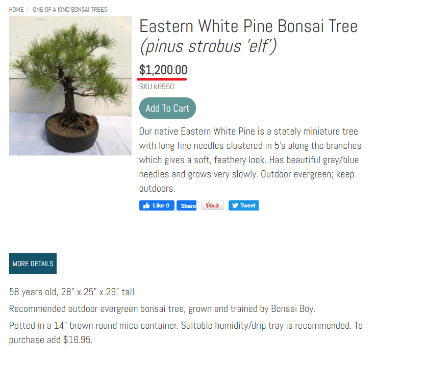 bonsai website